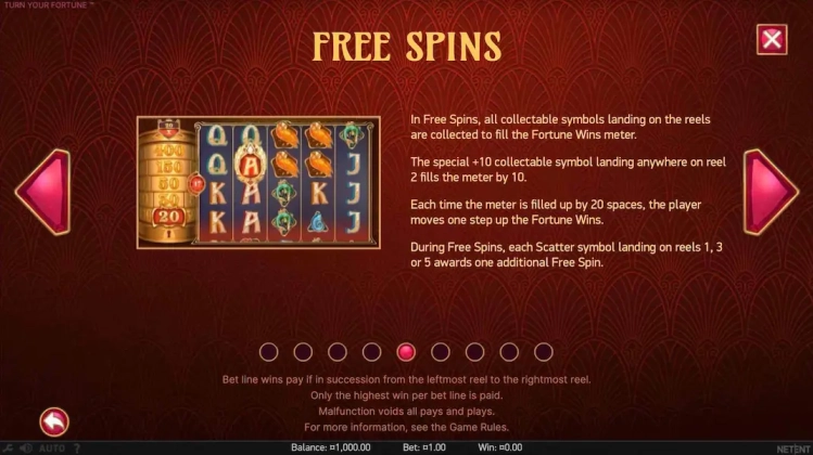 Turn Your Fortune Bezplatna Demo 3